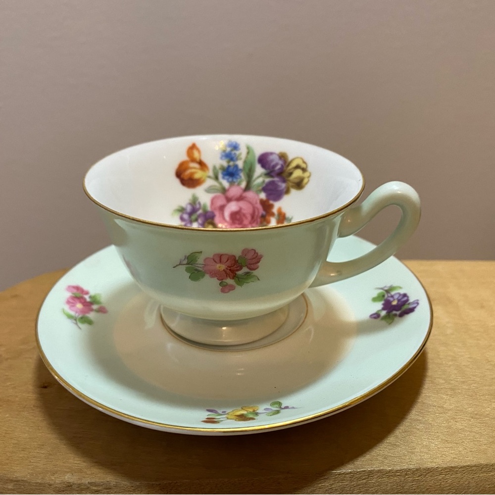 Noritake handpainted teacup and saucer